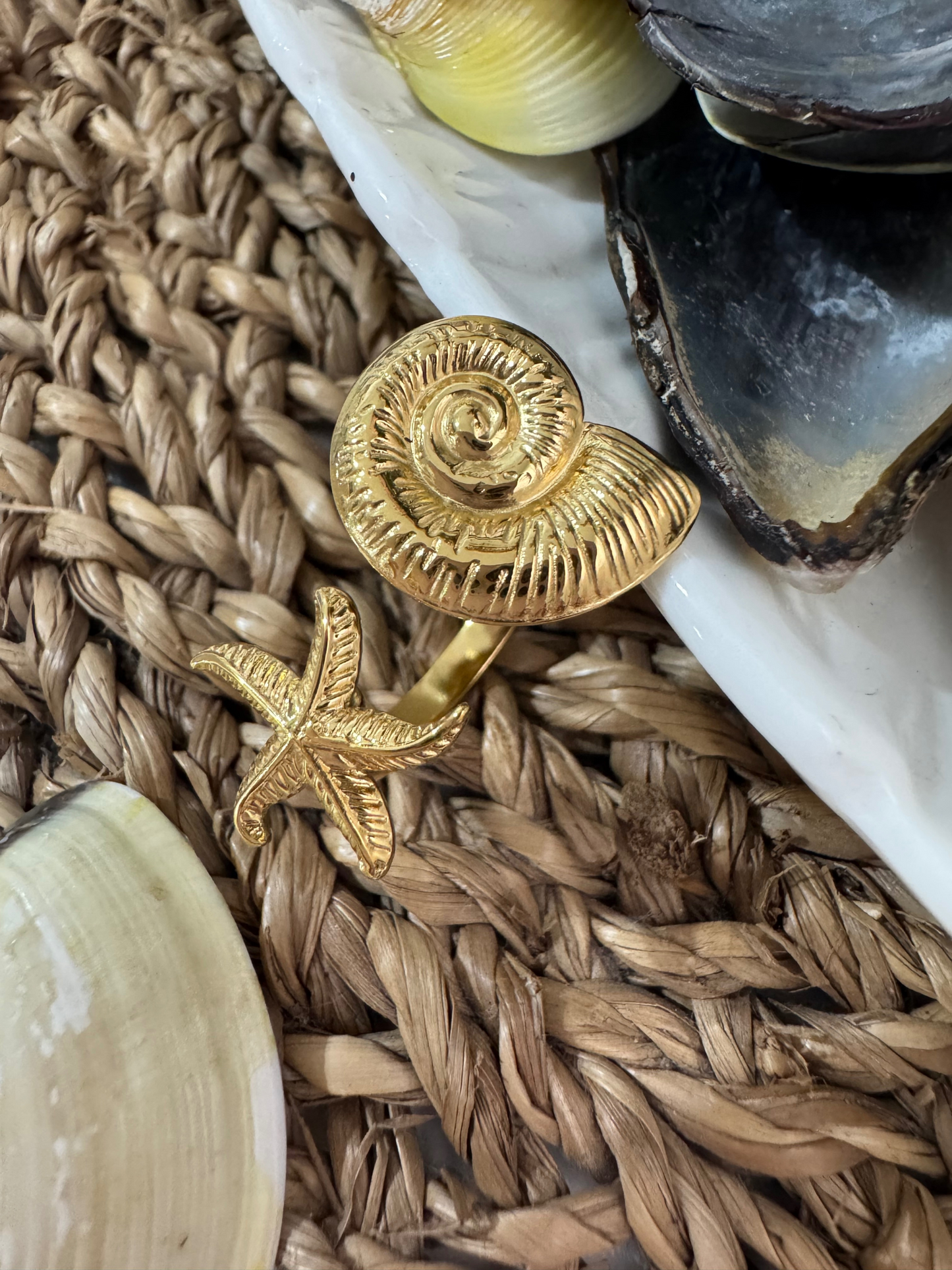 Anillos Colecciòn Caribe