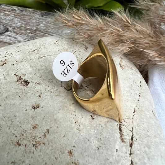 Anillo  Ana Zuleica