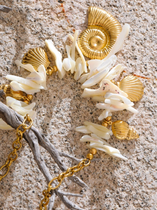 Collar  Gota de Concha