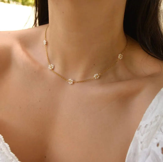 Collar Daisy Flower's